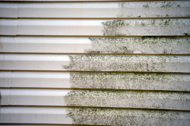 How To Choose The Right Materials for Your Siding Installation in 'Knik Fairview, AK